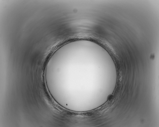 X0000094190542200710260956