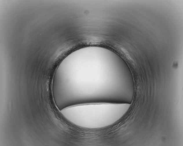 X0000094190543200710260956