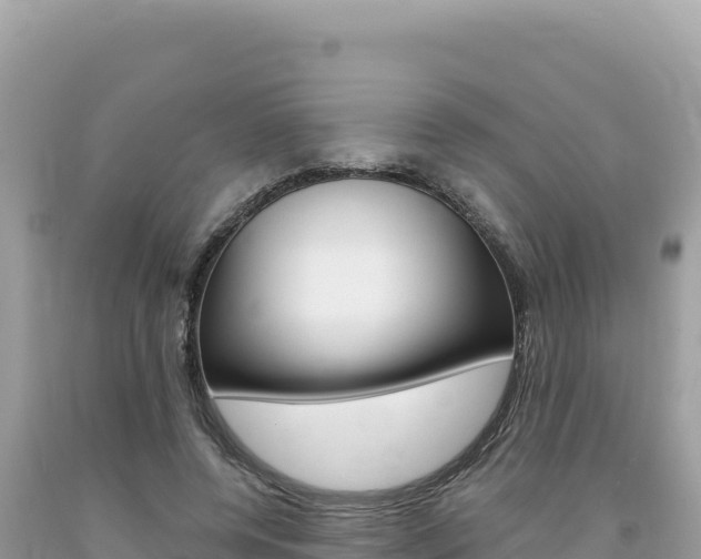 X0000094190544200710260956