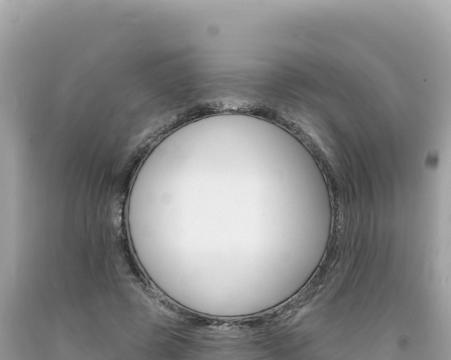 X0000094190545200710260956