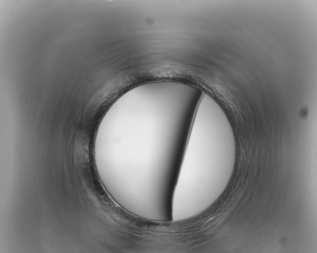 X0000094190547200710260957