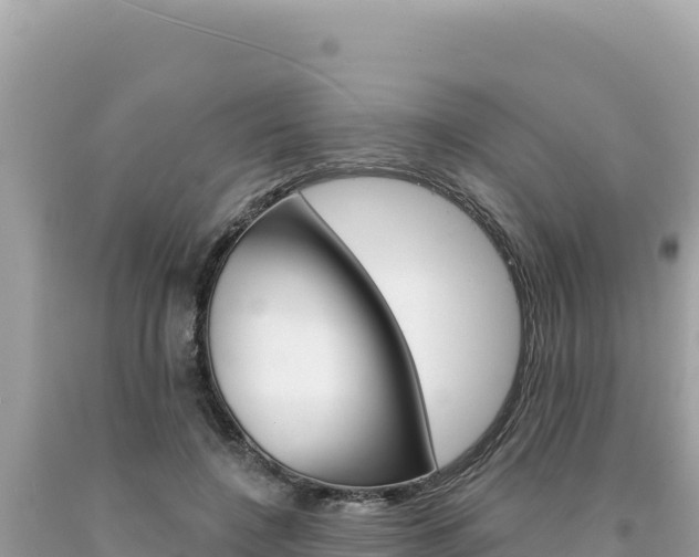 X0000094190548200710260957
