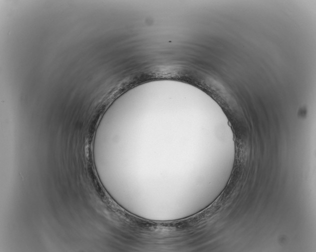 X0000094190549200710260957