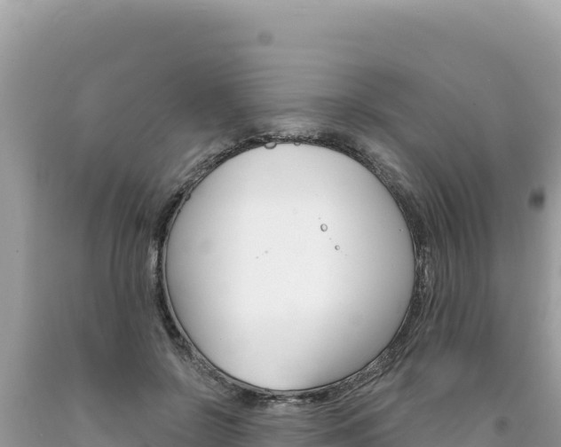 X0000094190550200710260957