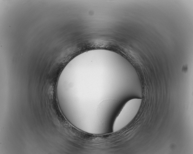 X0000094190551200710260957