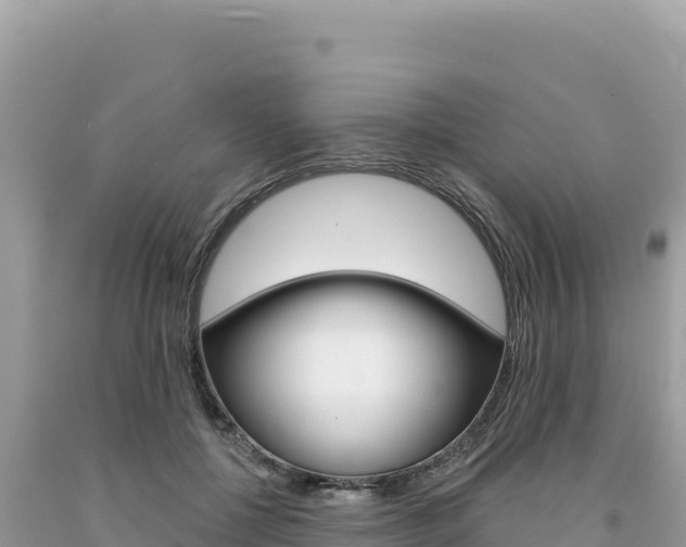 X0000094190552200710260957