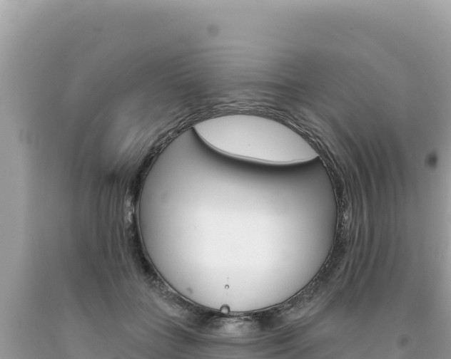 X0000094190555200710260957