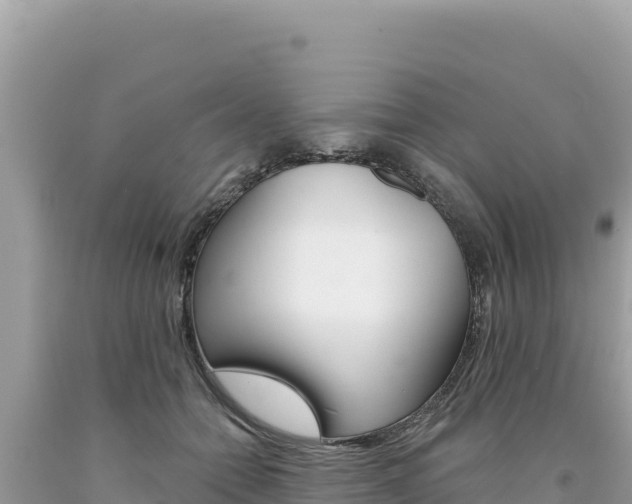 X0000094190558200710260957