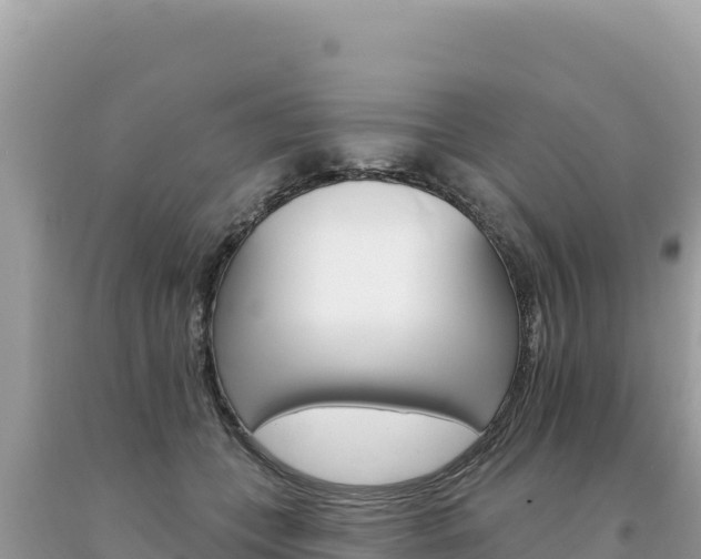 X0000094190559200710260957