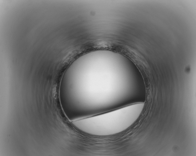 X0000094190560200710260957