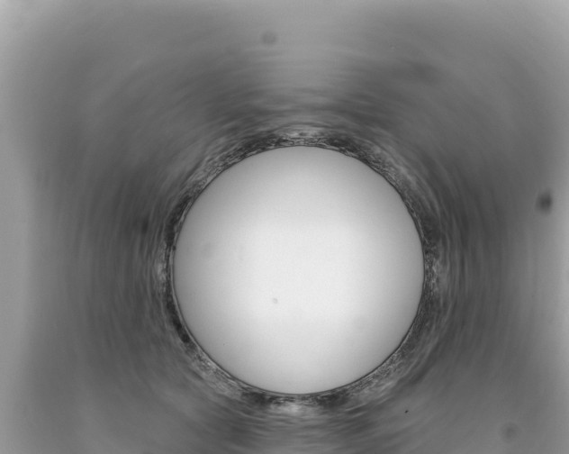 X0000094190561200710260957