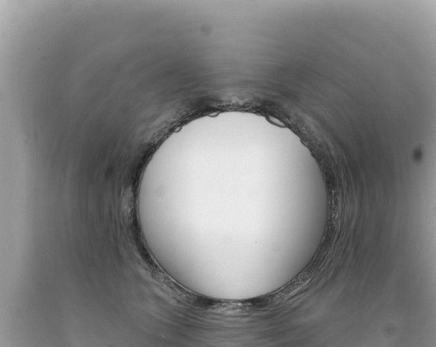 X0000094190563200710260957
