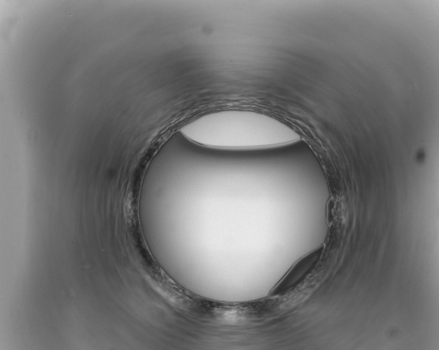 X0000094190564200710260957