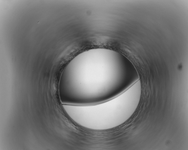 X0000094190566200710260957