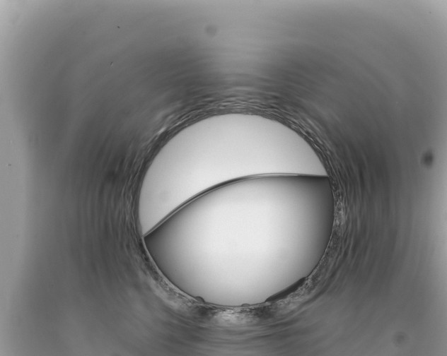 X0000094190568200710260957