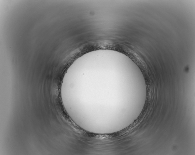 X0000094190569200710260957
