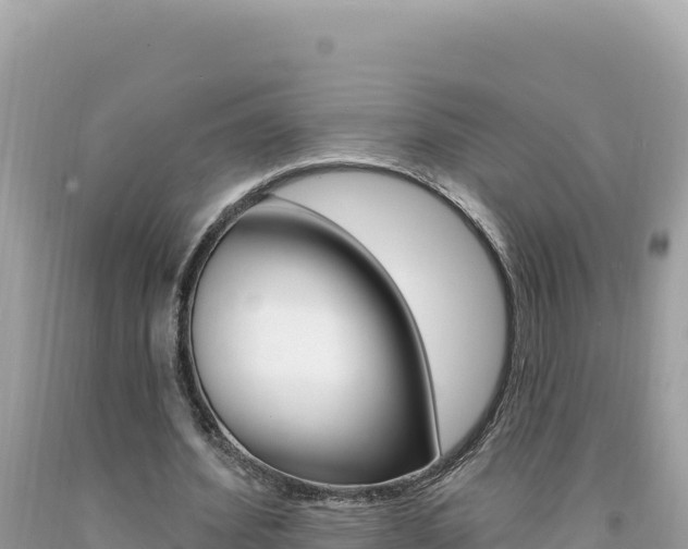 X0000094190580200710260956