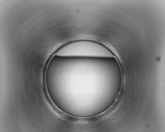 X0000094190581200710260956