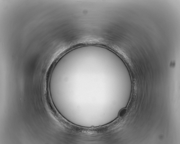 X0000094190582200710260956