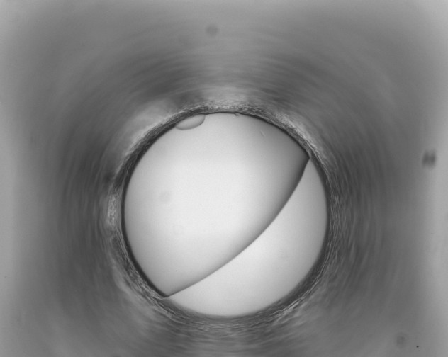 X0000094190583200710260956