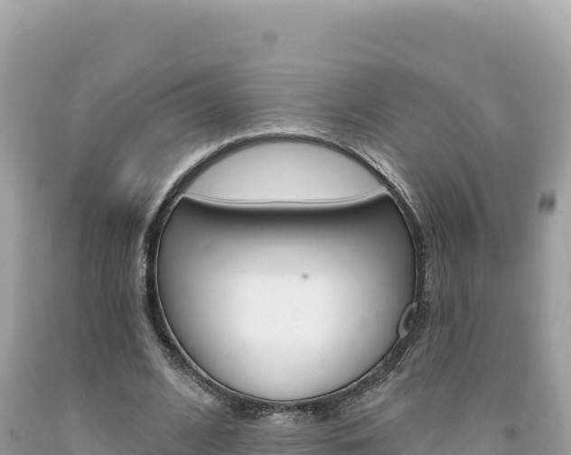 X0000094190584200710260956