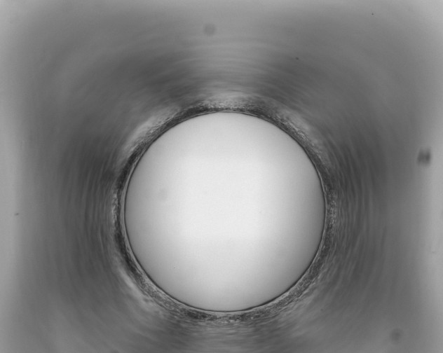 X0000094190586200710260956