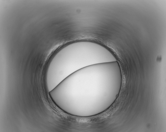 X0000094190587200710260956