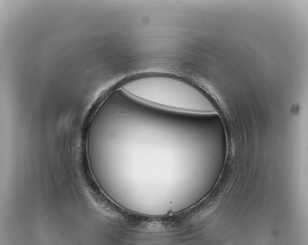 X0000094190588200710260956