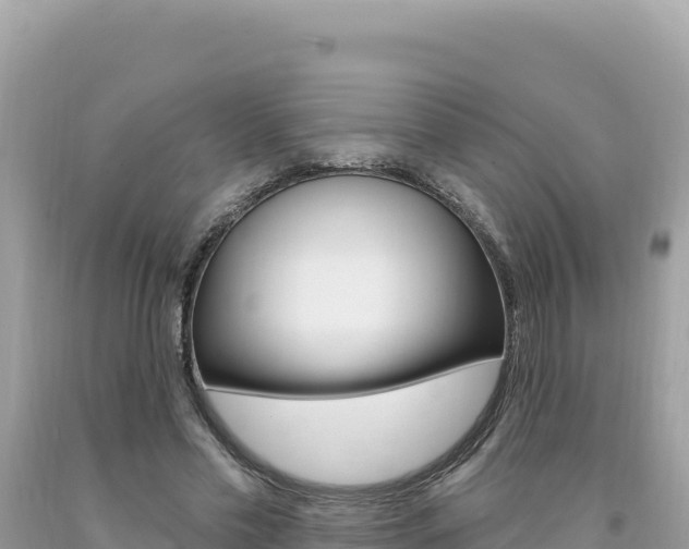 X0000094190589200710260956