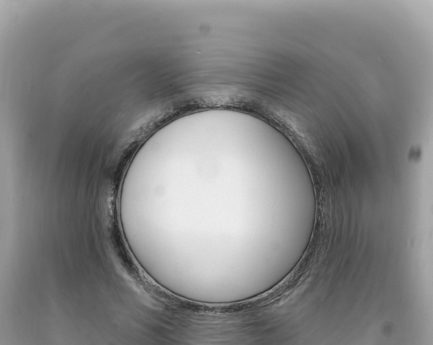 X0000094190590200710260956