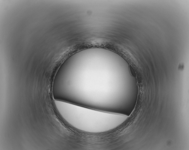 X0000094190593200710260956