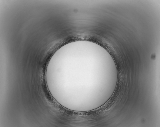 X0000094190594200710260956
