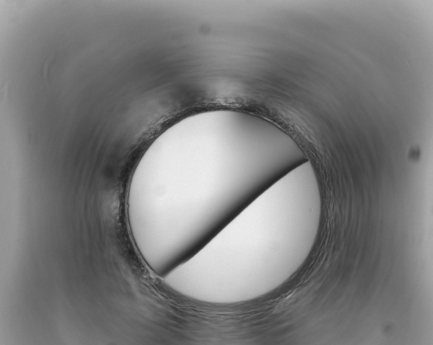 X0000094190595200710260956