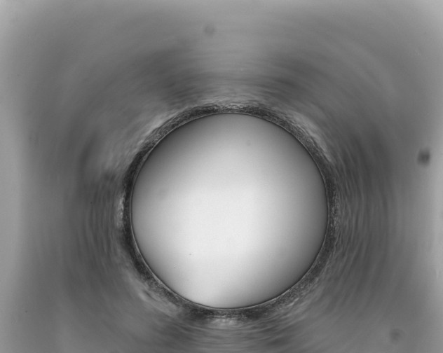 X0000094190596200710260956