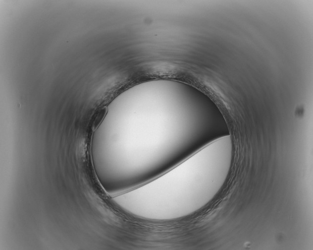 X0000094190597200710260956