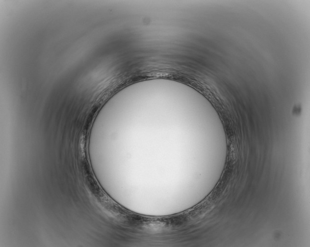 X0000094190598200710260956