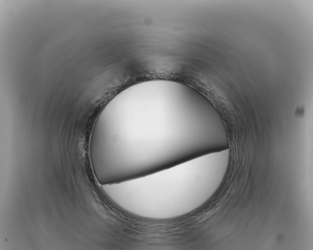X0000094190599200710260956