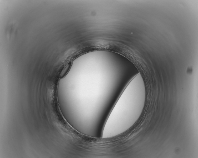 X0000094190600200710260956