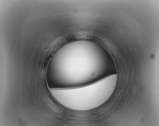 X0000094190601200710260956