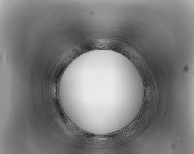 X0000094190602200710260956