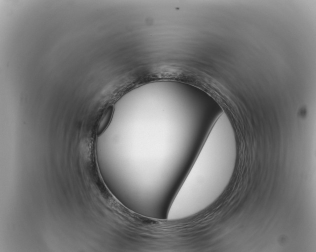 X0000094190604200710260956
