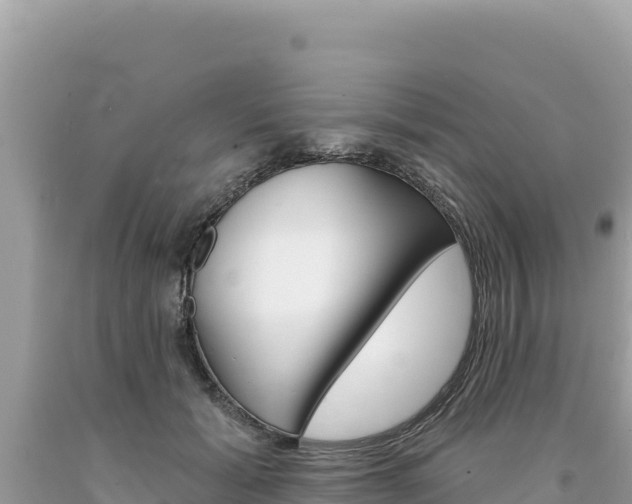 X0000094190605200710260956