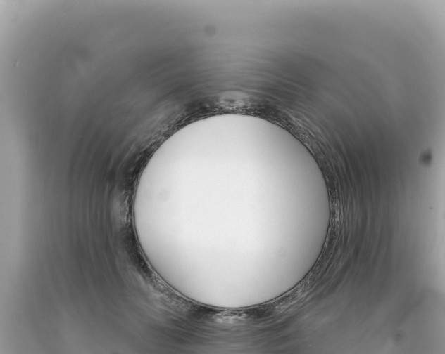 X0000094190606200710260956