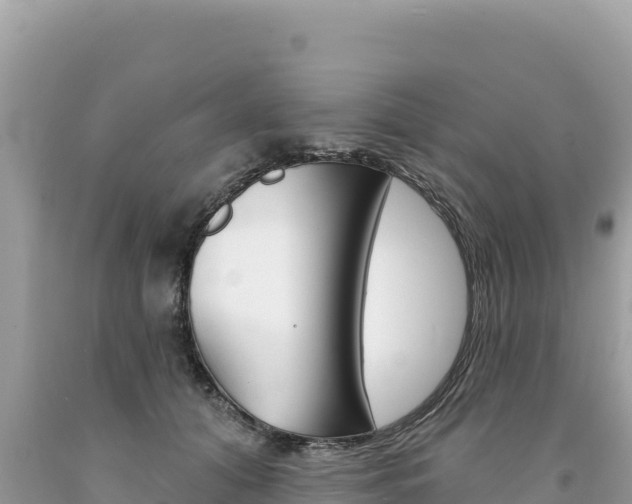 X0000094190608200710260956