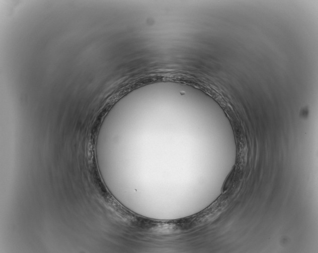 X0000094190609200710260956