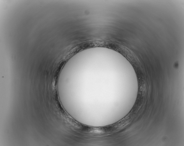 X0000094190610200710260956