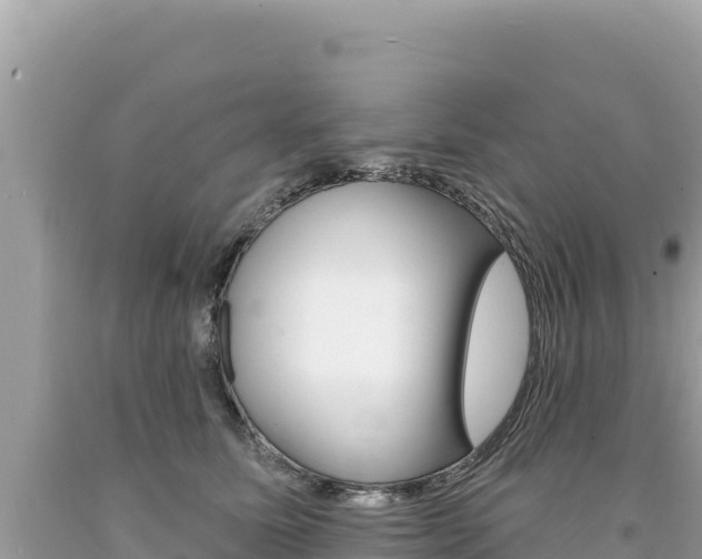X0000094190611200710260956