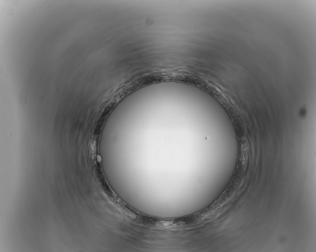X0000094190613200710260956