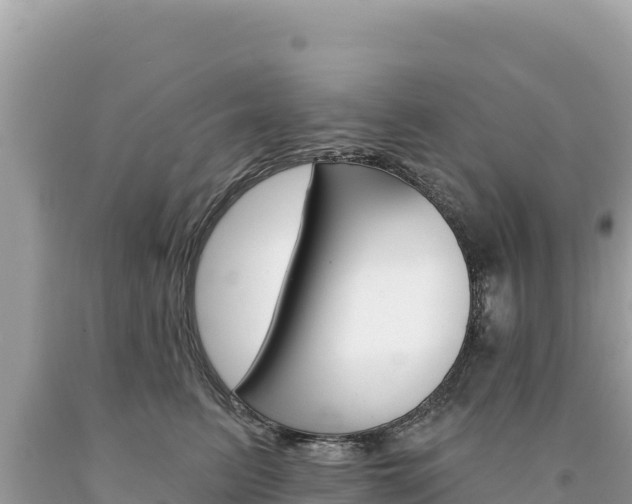 X0000094190615200710260956
