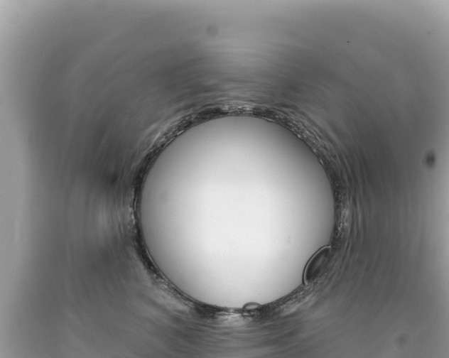 X0000094190616200710260956